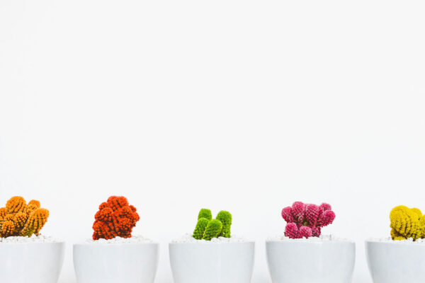 Recipe: Turkey, Kale Hash with Jammy Eggs