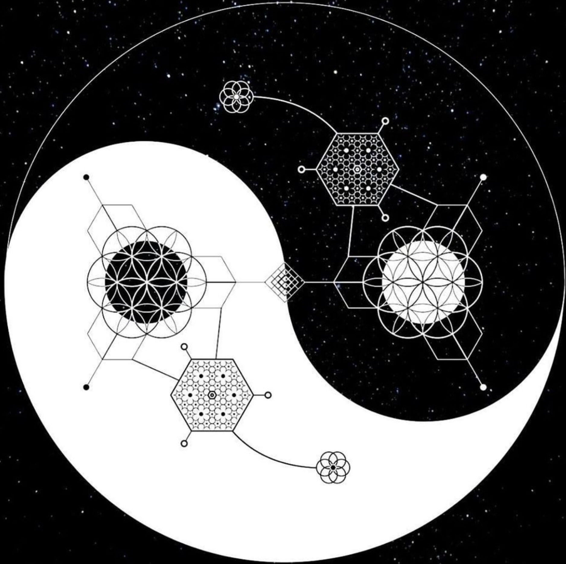 A yin-yang symbol with geometric and molecular patterns.