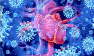 Illustration of a human heart surrounded by virus particles.
