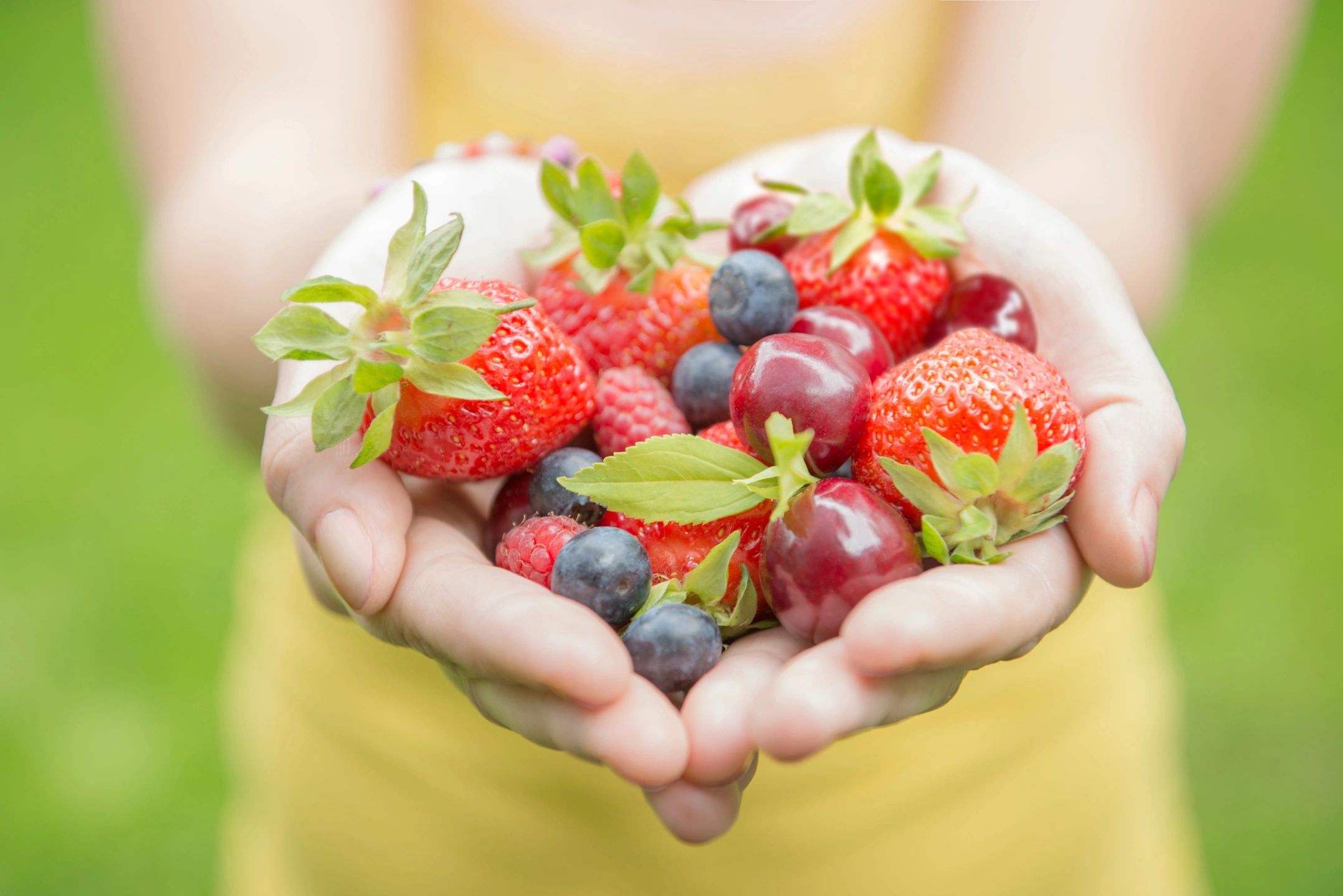 Hands holding a variety of fresh berries and fruits.