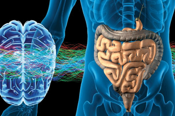 Brain Health Strategies