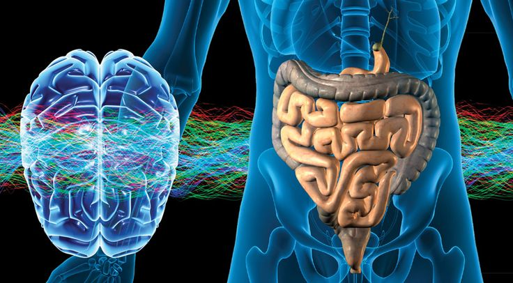 Visualization of gut-brain communication with neural and digestive system.