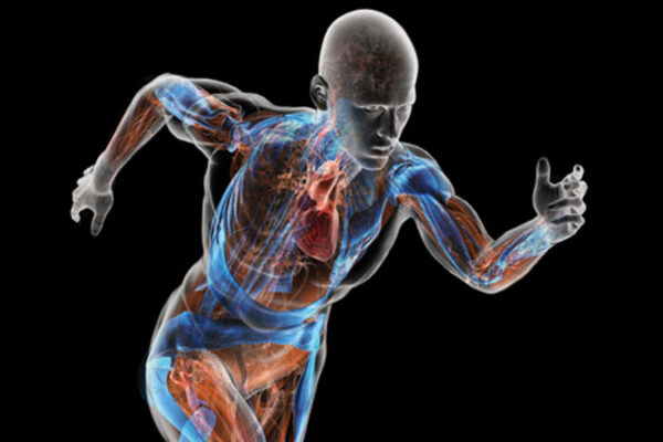 Dr. Tracy's Healthy Detox Primer - Part I