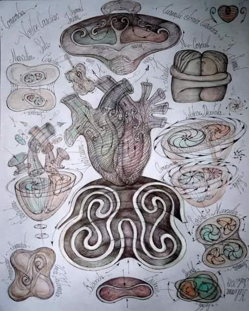 Artistic depiction of a heart surrounded by abstract, organic shapes and patterns.