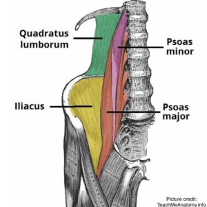 Red circle with three diagonal black lines on bottom left.