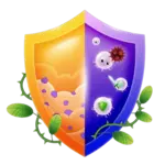 A protective medical shield divided into gold and purple halves, showing white blood cells fighting off viruses and pathogens to illustrate immune defense.