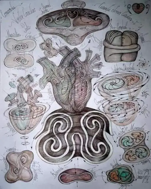 Artistic depiction of a heart surrounded by abstract, organic shapes and patterns. Artistic depiction of a heart surrounded by abstract, organic shapes and patterns.