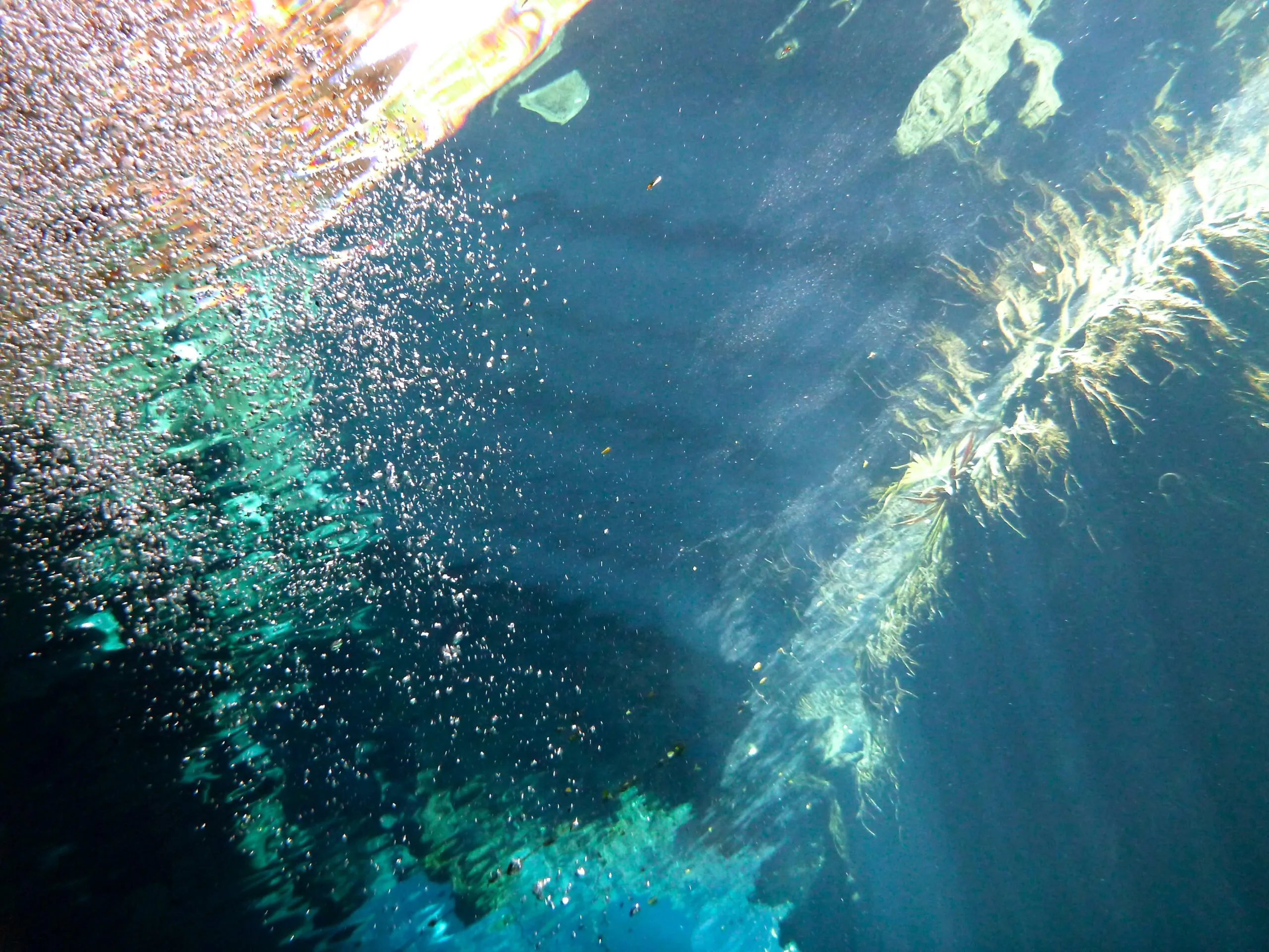 Sunlight filters through water, illuminating underwater bubbles and marine life.